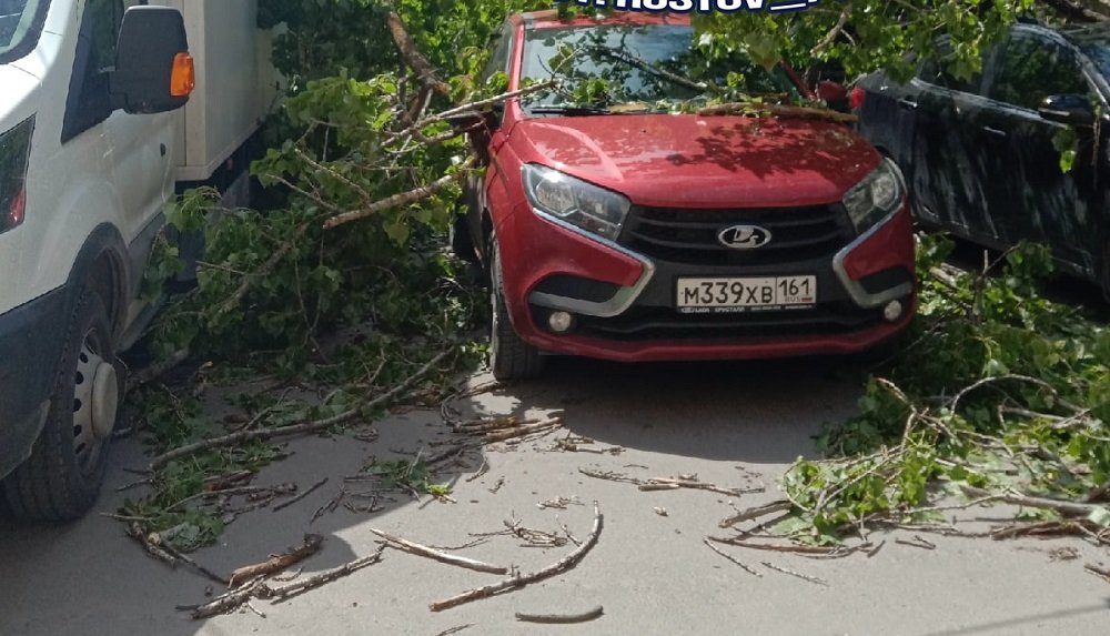 Упавшее дерево придавило четыре машины в Ростове