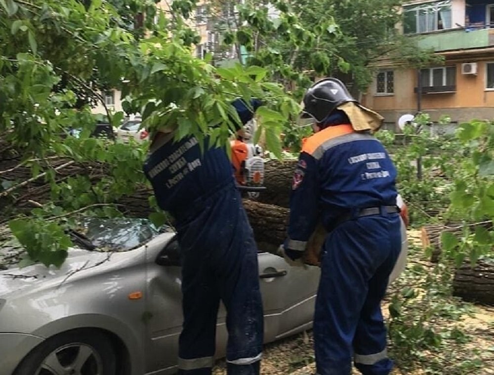 Порывистый ветер повалил дерево на припаркованные машины в Ростове