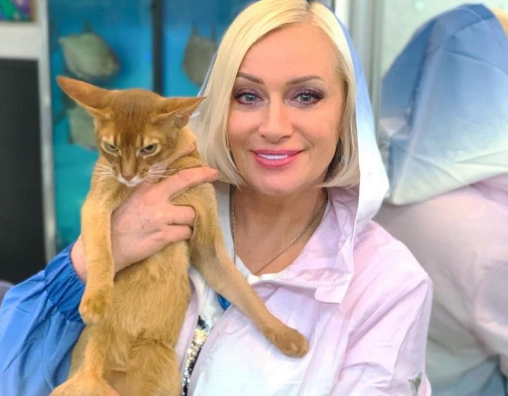 Кот скончался от коронавируса у Натальи Гулькиной