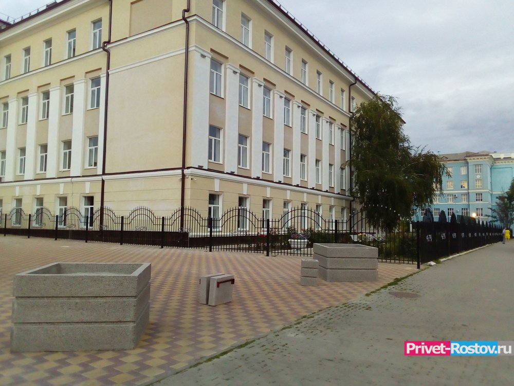 Вузы и школы в Ростове откроются в последнюю очередь после снятия ограничений из-за коронавируса