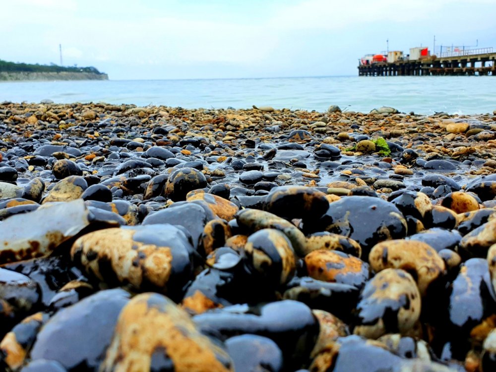 «SOS!»: Жители Геленджика, Анапы и Тамани заявили о загрязнении пляжей нефтепродуктами