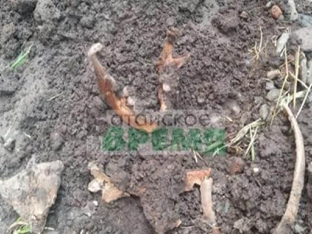 Останки человека обнаружили в частном доме в Батайске