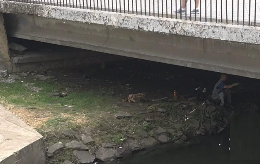 Вылов неведанных зверей напророчили рыбаку у главного автовокзала в Ростове