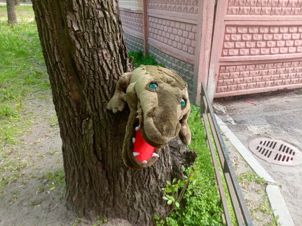 «Крокодила» заметили в Ростове на дереве