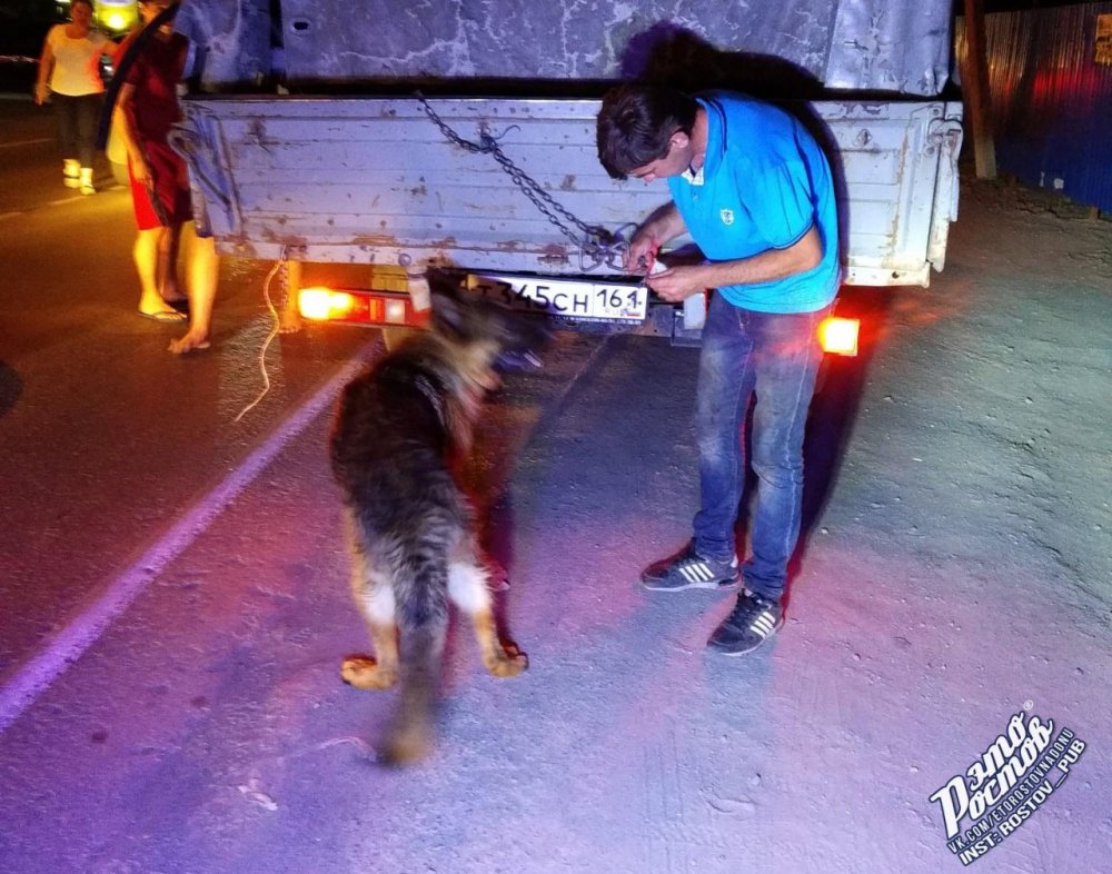 В Ростове толпой пришлось останавливать грузовик с нелюдями, тащившими собаку на цепи