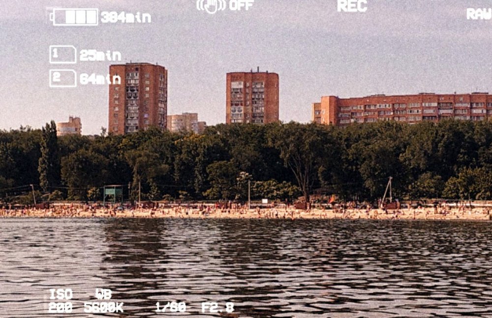 Назад их уже не загнать: Ростовчане обсуждают «беспредел», творящийся на пляжах в Ростове