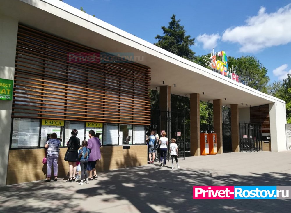 Ростовский зоопарк объявил об открытии и условиях посещения