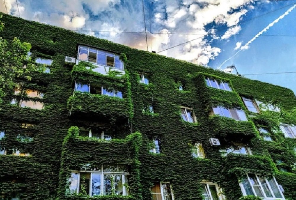 Самый зеленый дом в Ростове обсуждают в Сети