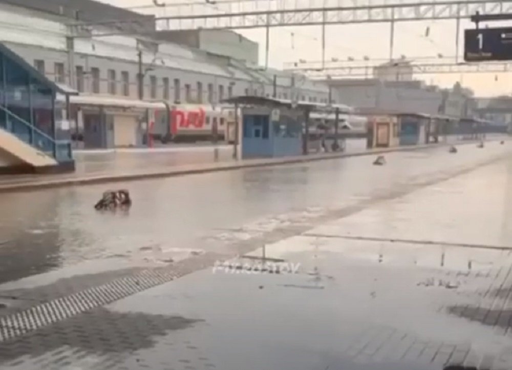 «Поезда будут приплывать»: ЖД вокзал затопило в Ростове