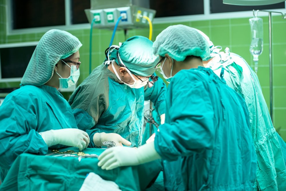 Юбилейную трансплантацию провели в Ростове