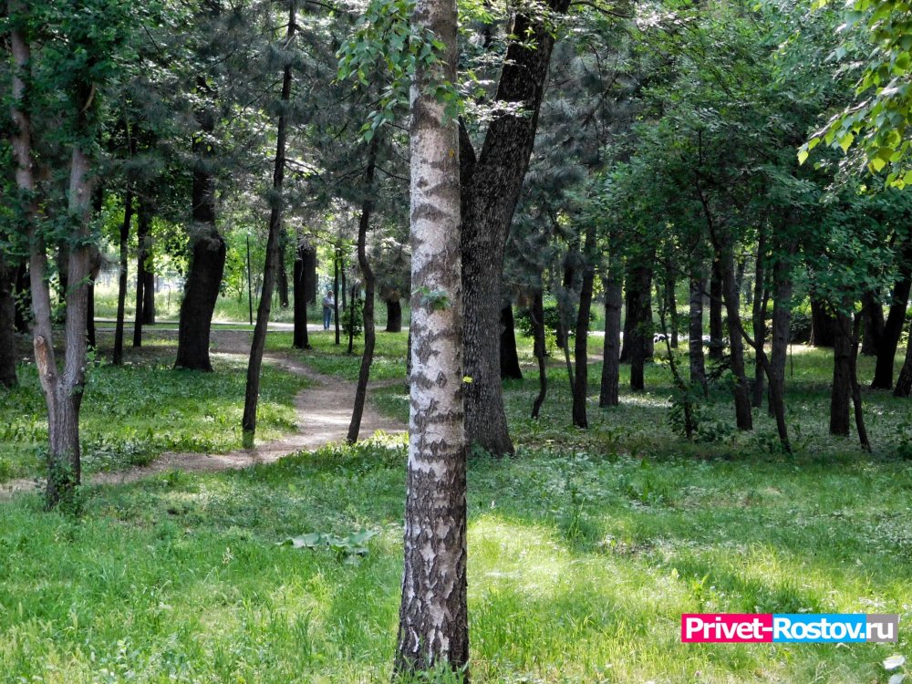 В лес ходить запретили в Ростовской области