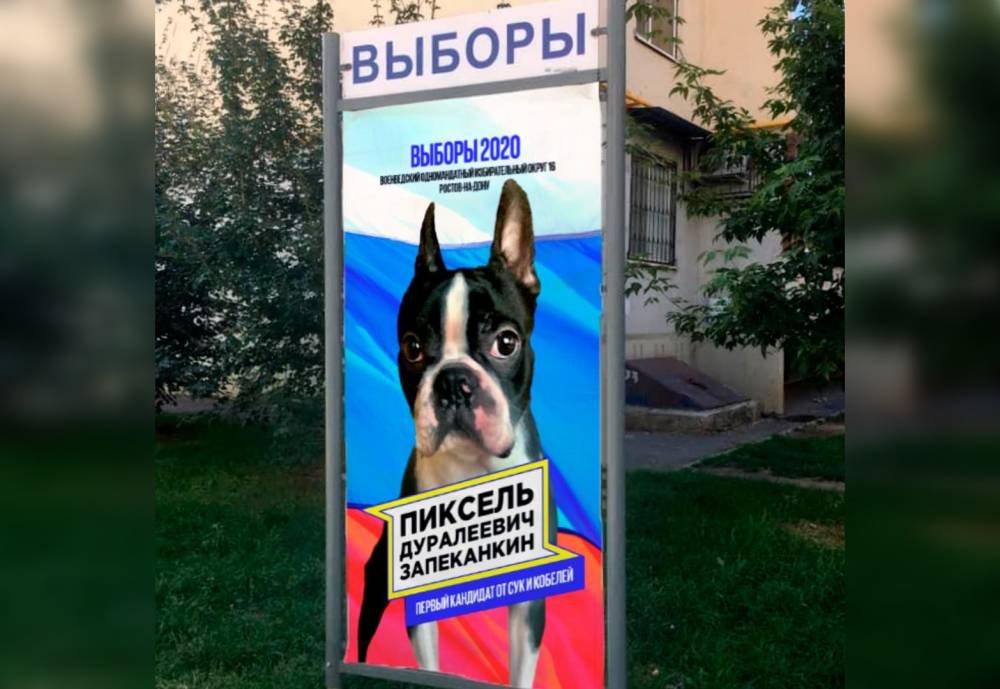 Свою собаку на выборы депутатов гордумы выдвинул ростовчанин