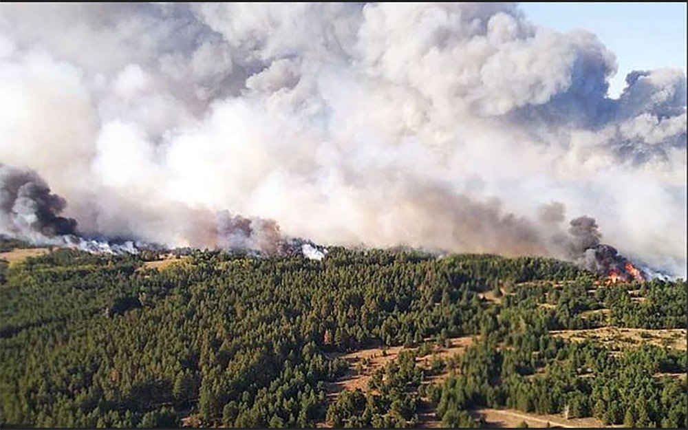 Площадь ландшафтного пожара в Ростовской области увеличилась до 1200 гектаров