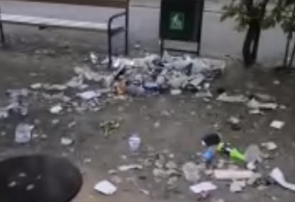 Полчища невидимых свиней творят страшные вещи на детской площадке на Мечникова