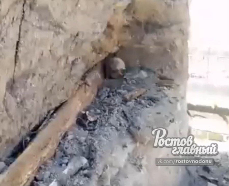 Следователи на Дону начали проверку по факту обнаружения человеческих останков на стройке детского сада