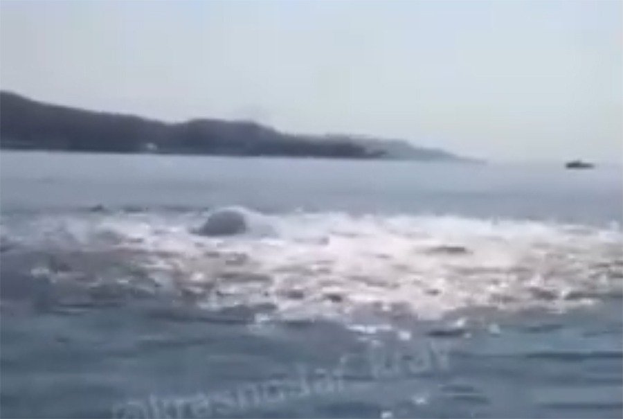 Бурлящее чудовище запечатлели на видео отдыхающие в Сочи у берега