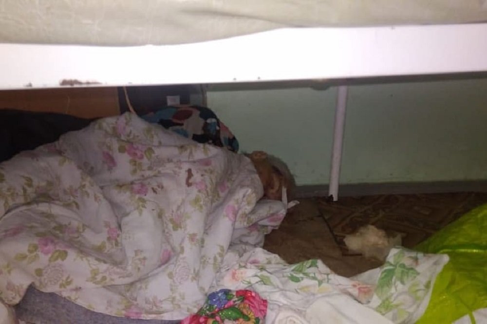 «Пациентка оступилась и упала»: руководство ЦГБ Белой Калитвы объяснила ситуацию с лежащей на полу бабушкой
