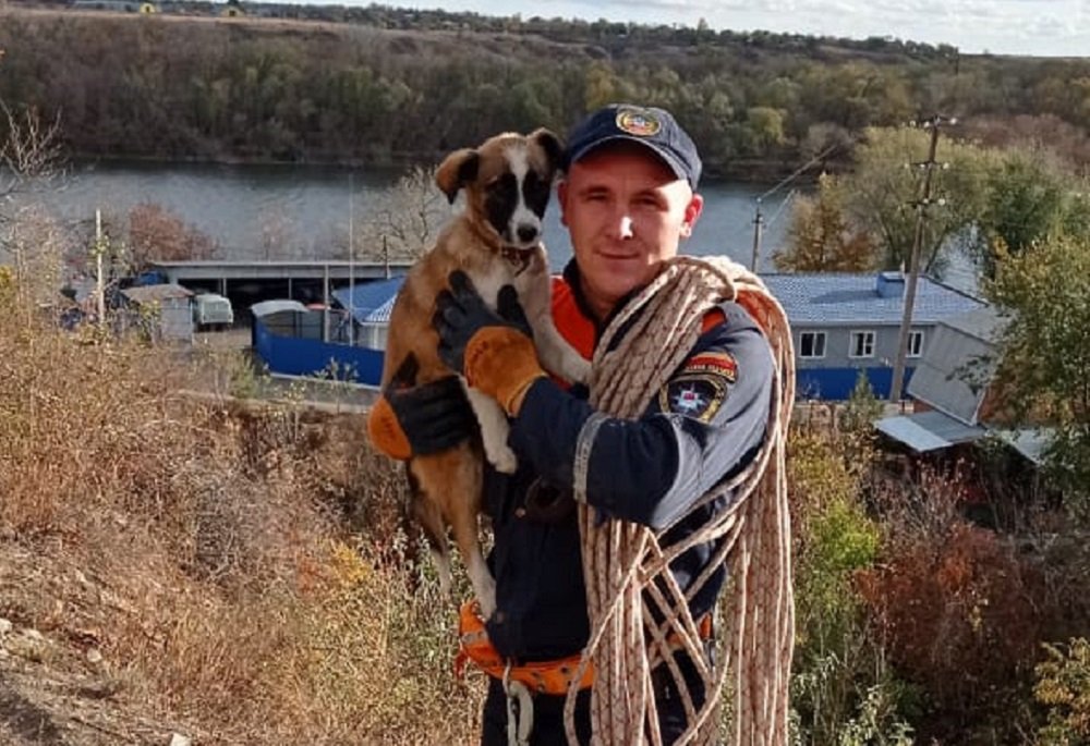 Чудесная история спасения щенка из 50-метровой ямы произошла под Ростовом