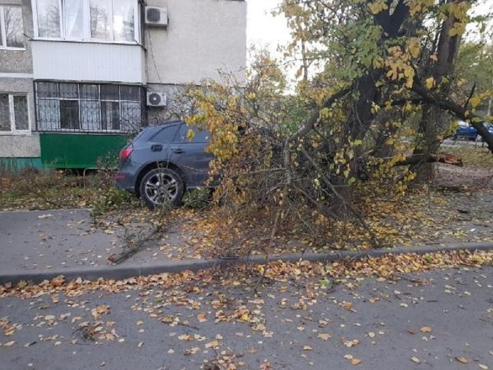 «Ауди» с водителем без сознания протаранило дерево в Ростове