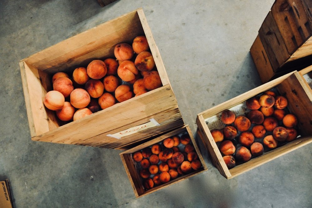Под Ростовом безжалостно уничтожили более 600 кг санкционных персиков