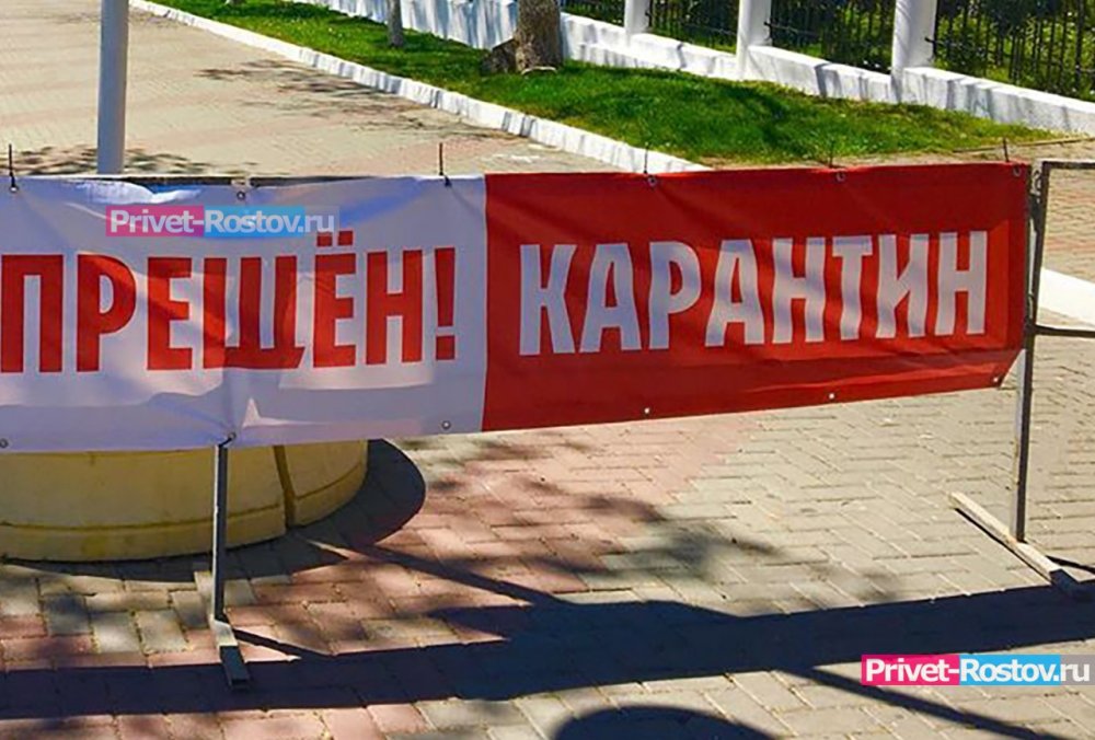 На карантин закрыли школу и садик в Ростовской области