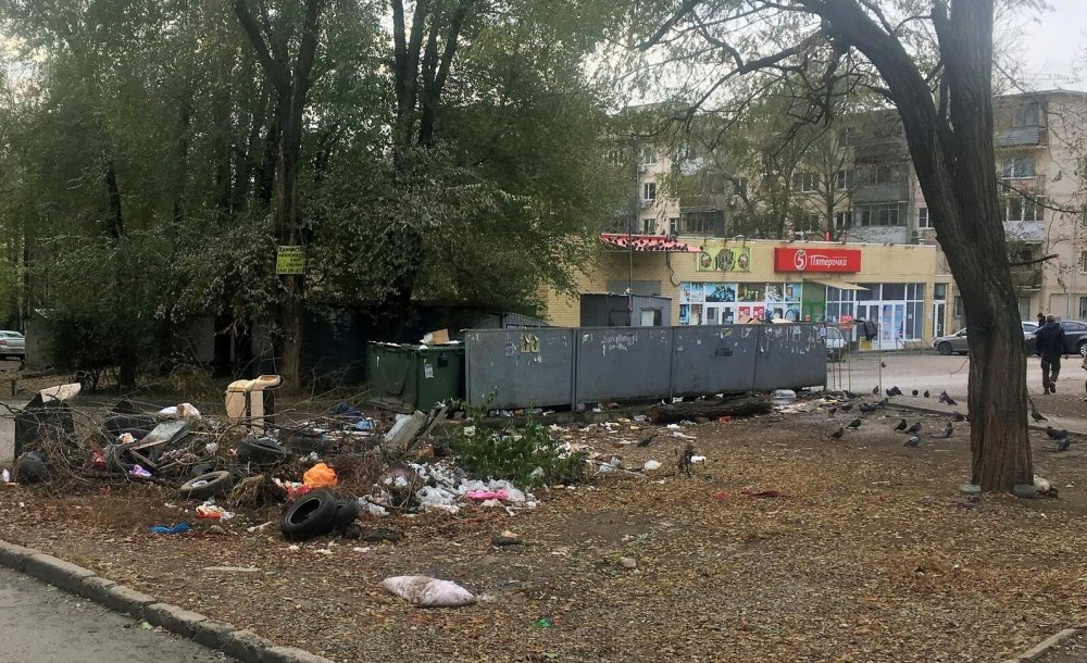 Ростовчане в сети осудили людей, жалующихся на свалки мусора во дворах