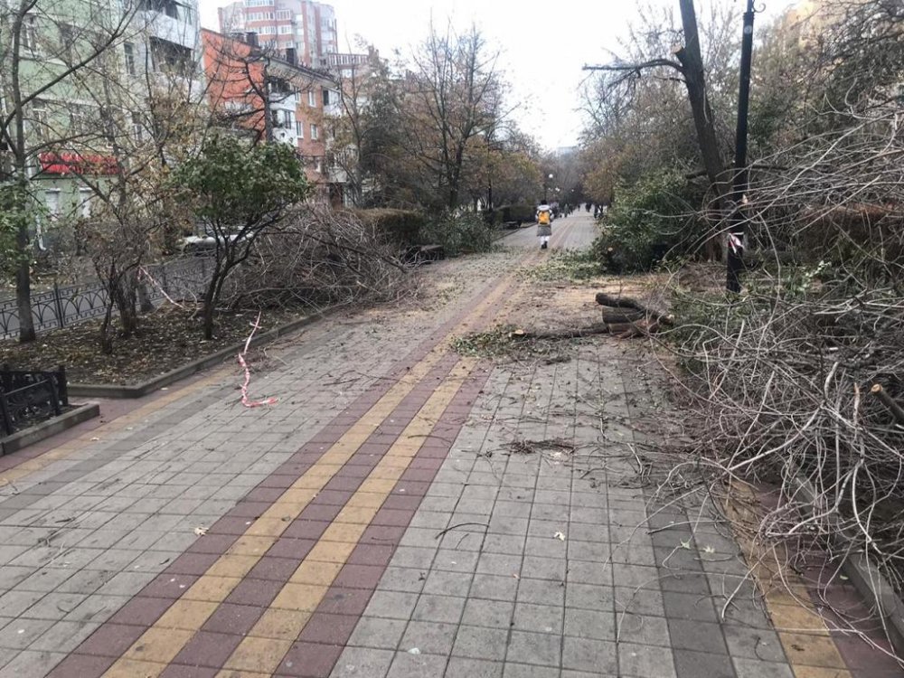 В Ростове коммунальщики устраняют нарушения, допущенные при обрезке деревьев