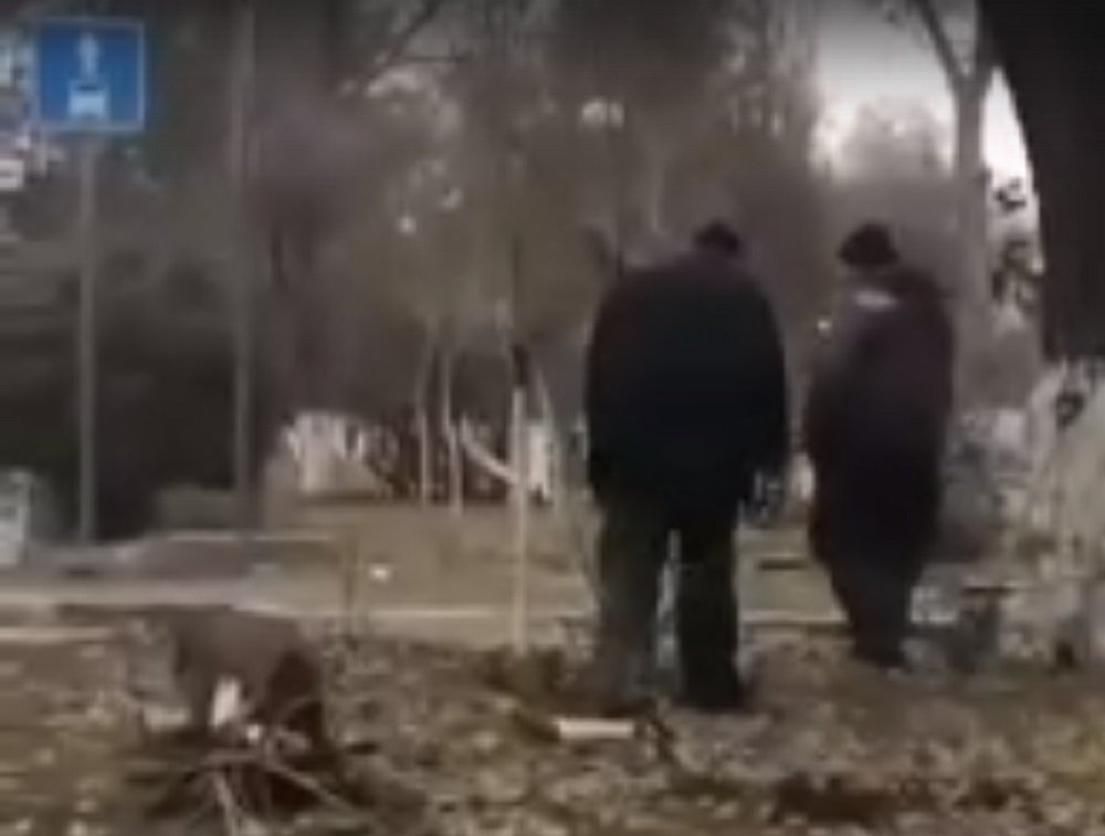 Ростовчане шокированы действиями коммунальщиков, выкапывающих недавно высаженые саженцы на пр. Стачки