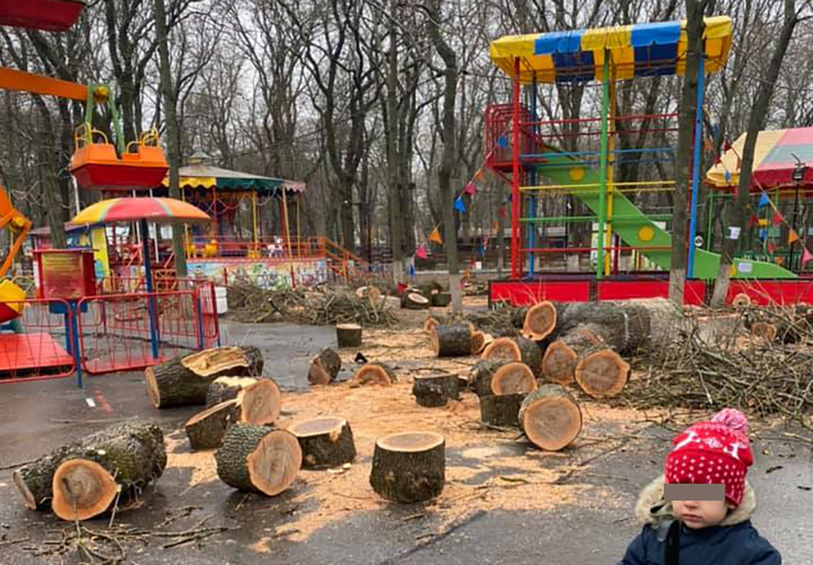 Подозрительная вырубка деревьев началась в парке Островского в Ростове