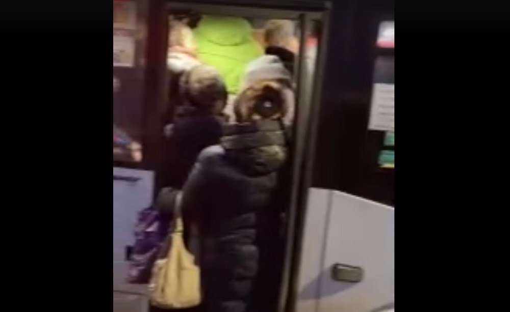 Толпа ростовчан выгнула двери в автобусе «Зоопарк-Мега»