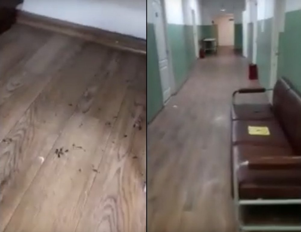 Жуткие кадры из больницы в Ростовской области показала жительница