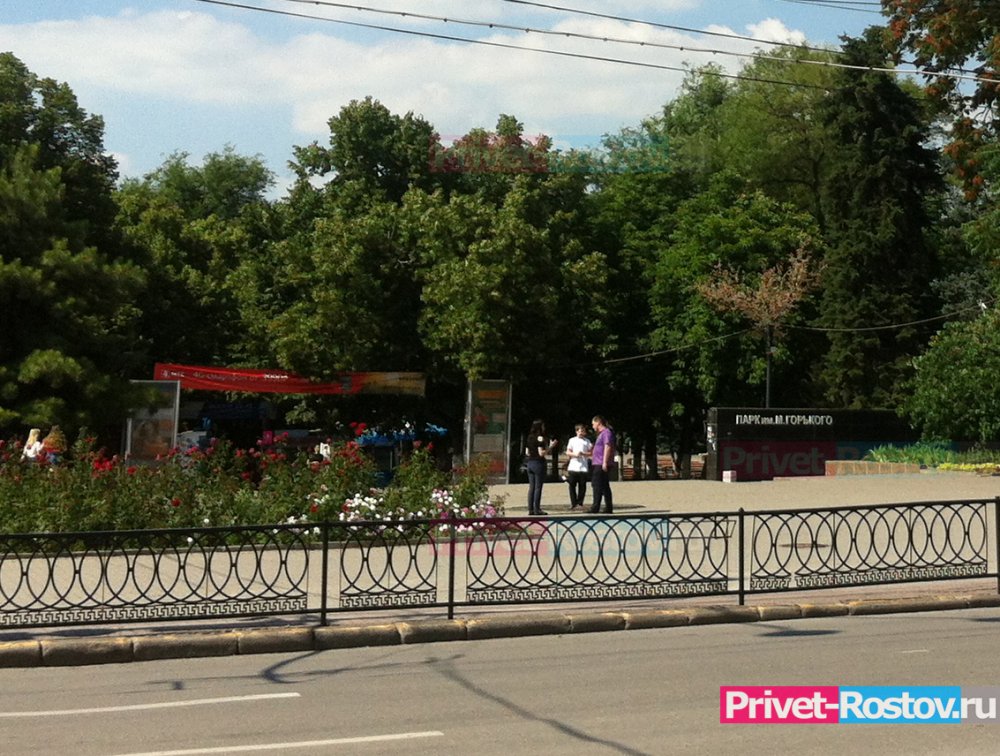В Ростове кощунством и варварством назвали распродажу парка Горького по частям власти