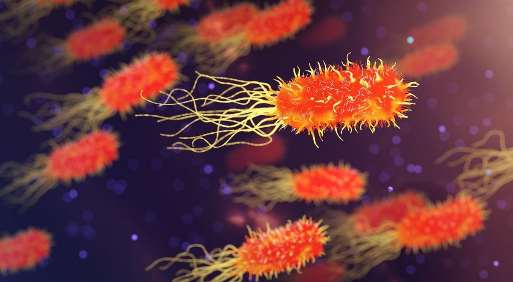 «Еще страшнее COVID-19»: эксперт рассказал о супербактериях угрожающих человечеству