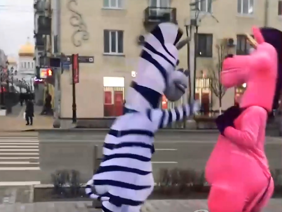 В Ростове у парка Горького подрались аниматоры, одетые в костюмы зебры и единорога
