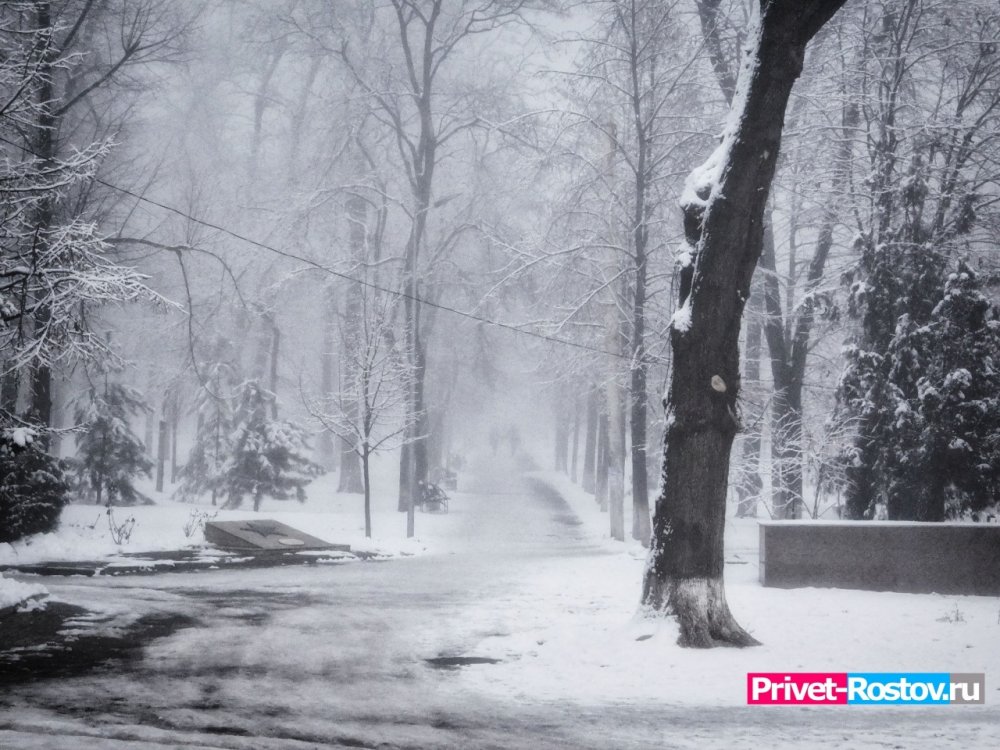 Морозы и большие осадки ожидают Ростовскую область