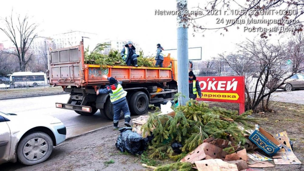 Власти Ростова прокомментировали свалки из нераспроданных елок по городу