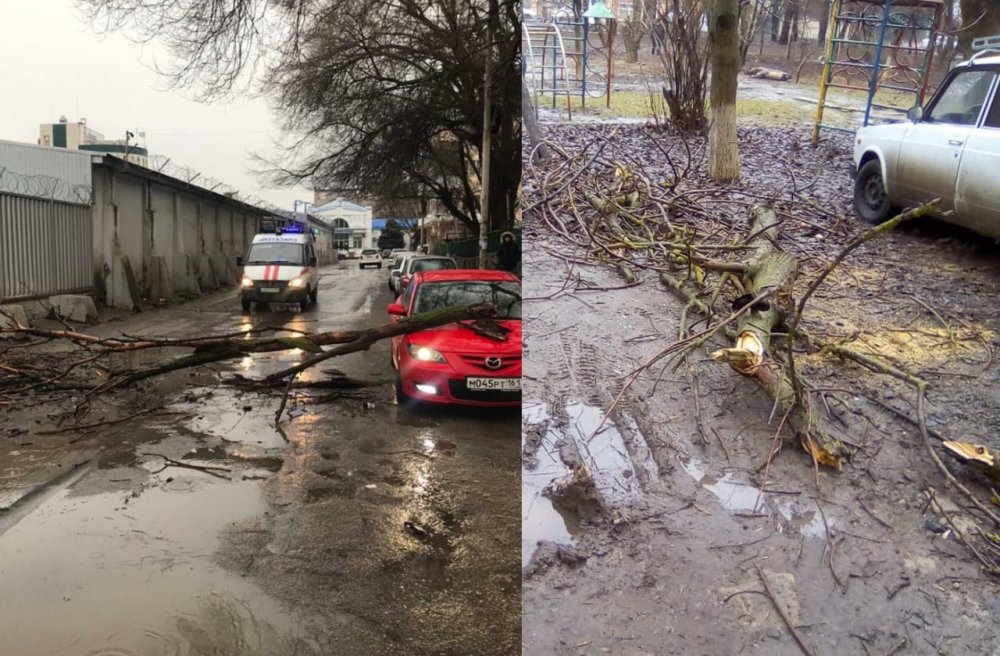 Четыре дерева придавили машины в Ростове