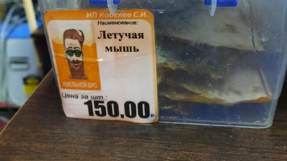 Деликатес: филе летучих мышей начали продавать в Ростове