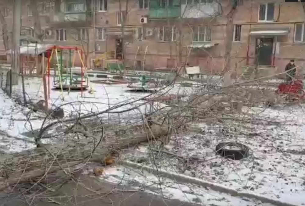 На детскую площадку упало 10-метровое дерево в Ростове
