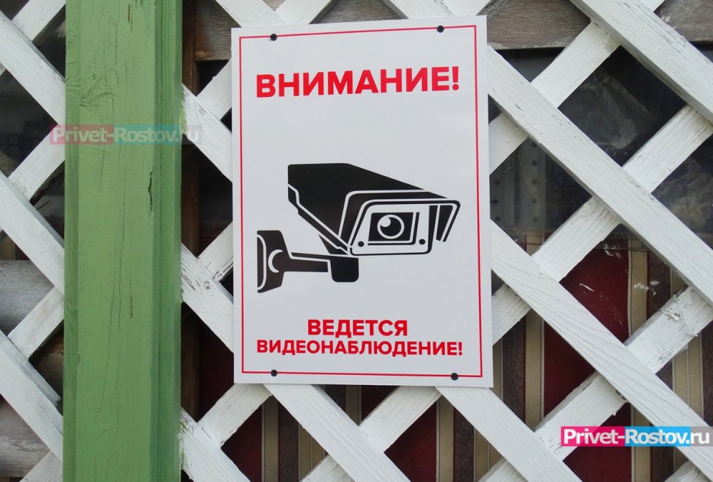 Видеоконтроль над ростовчанами потребовала усилить полиция