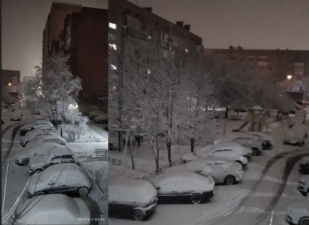 Ростовчан взбесил внезапный мартовский снегопад