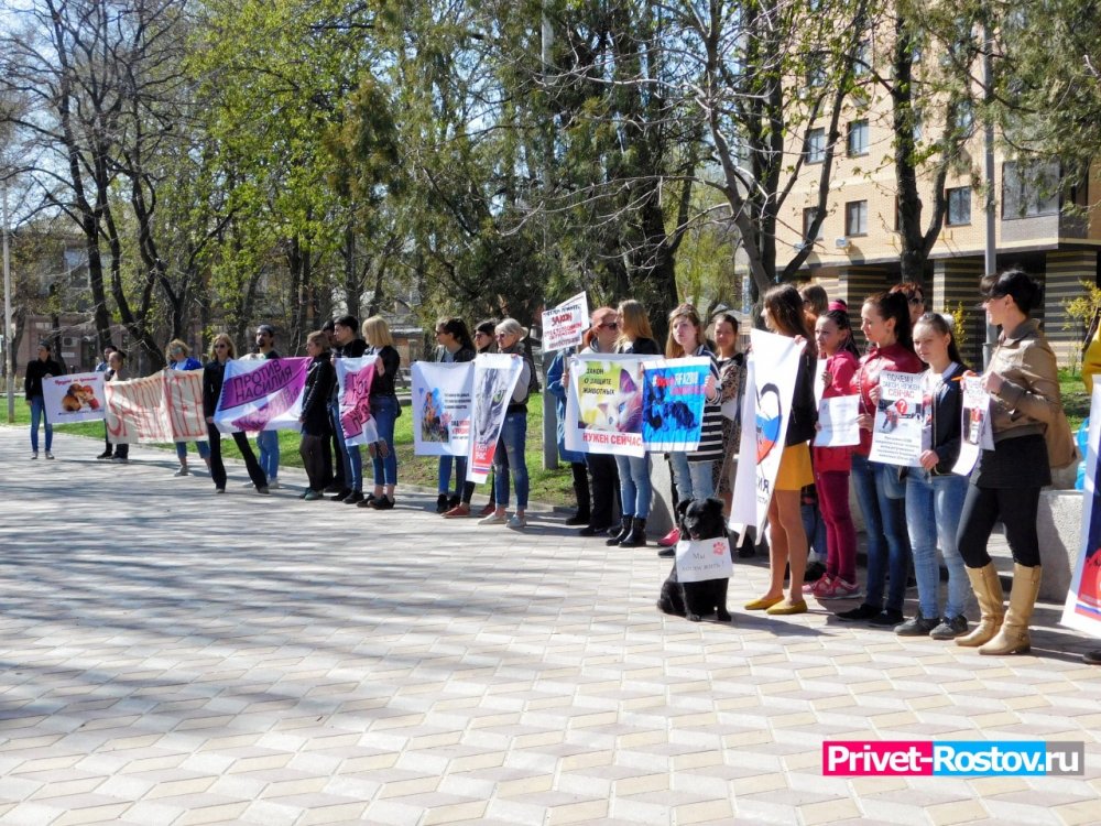 Условия проведения митингов хотят усложнить в Ростовской области