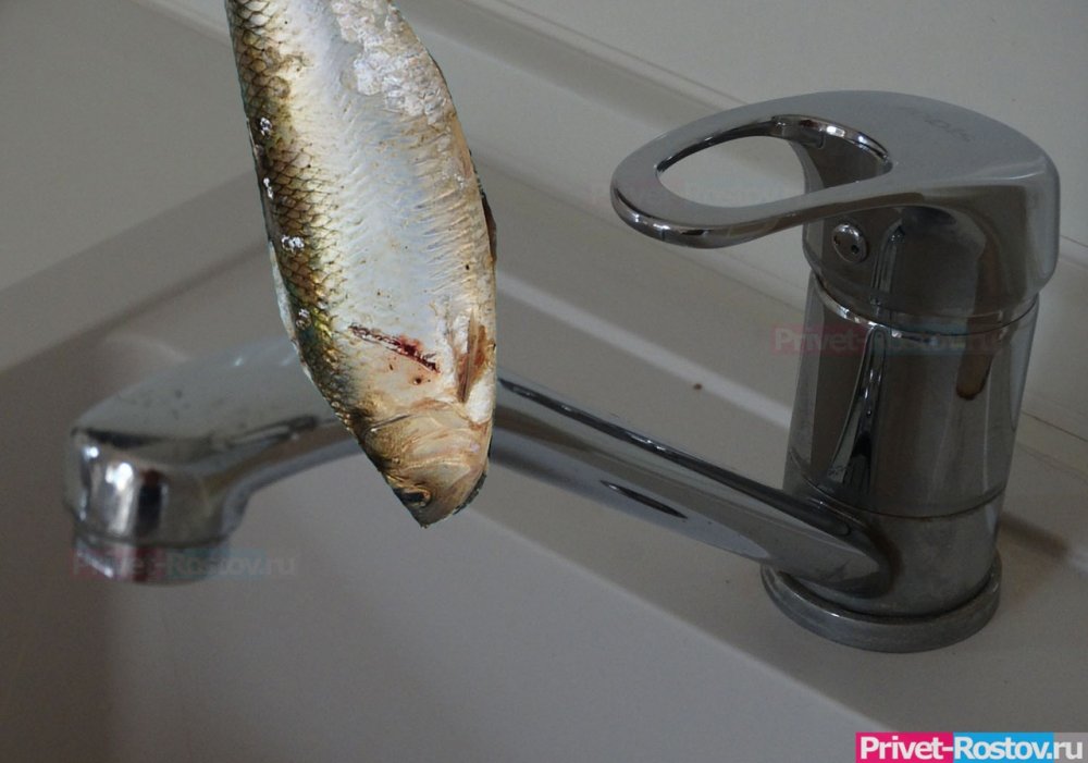 Прогнать рыбную воду из домов ростовчан обещает директор «Водоканала» 12 марта