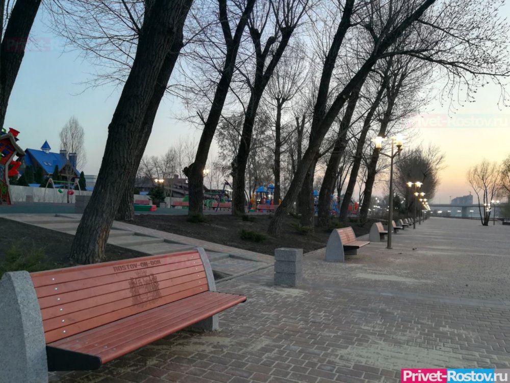 В ростовском парке «Левобережный» появится аллея спортивной славы
