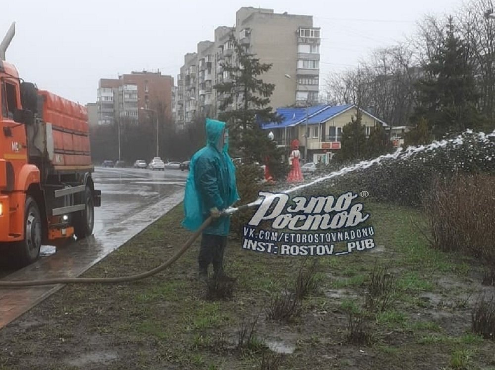 Ростовчан шокировали коммунальщики поливающие деревья в дождь