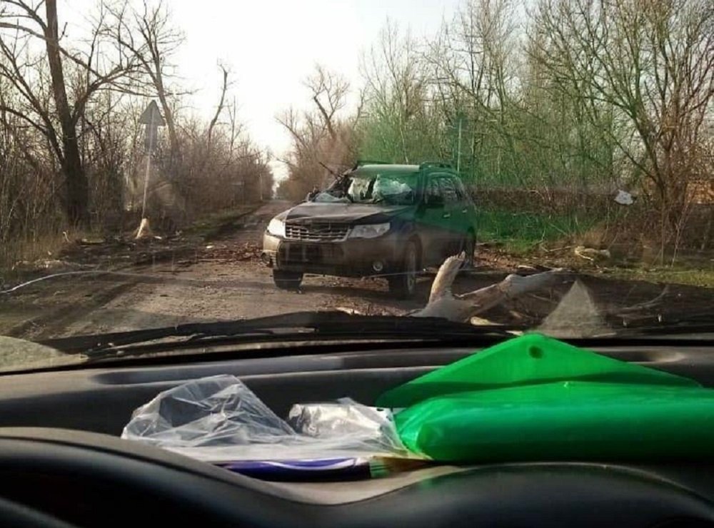 Человека придавило при падении дерева на машину в Ростовской области