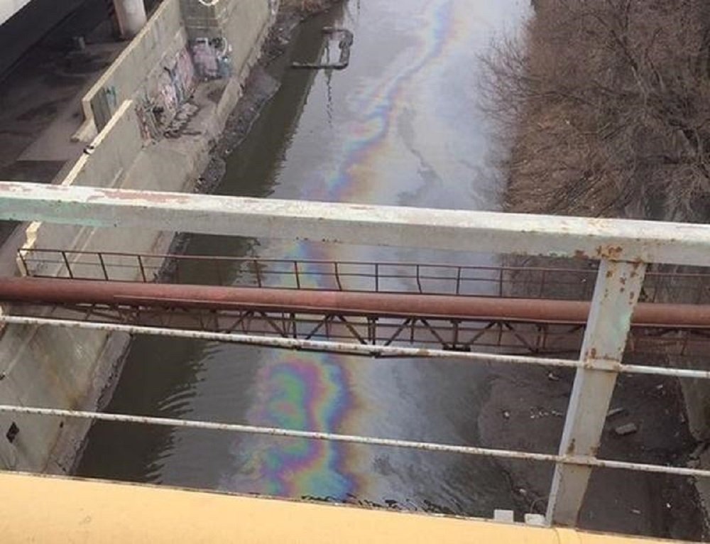 Реку Темерник в Ростове покрыли пятна из нефти