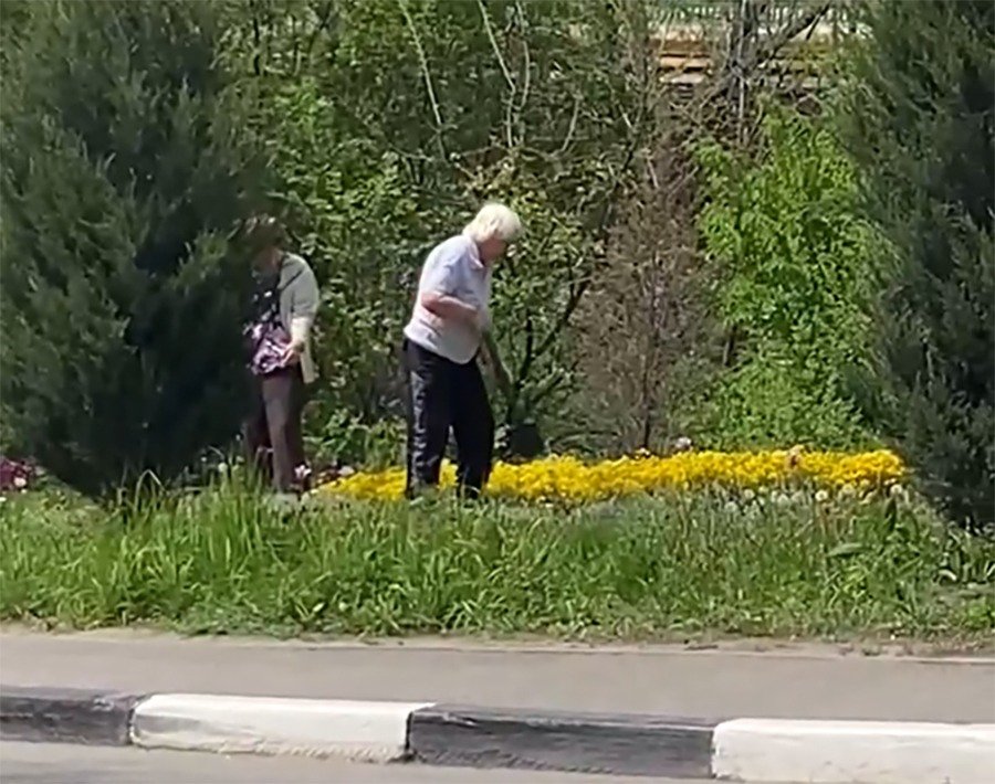Бабушек, выкапывающих цветы с городской клумбы, осудили ростовчане