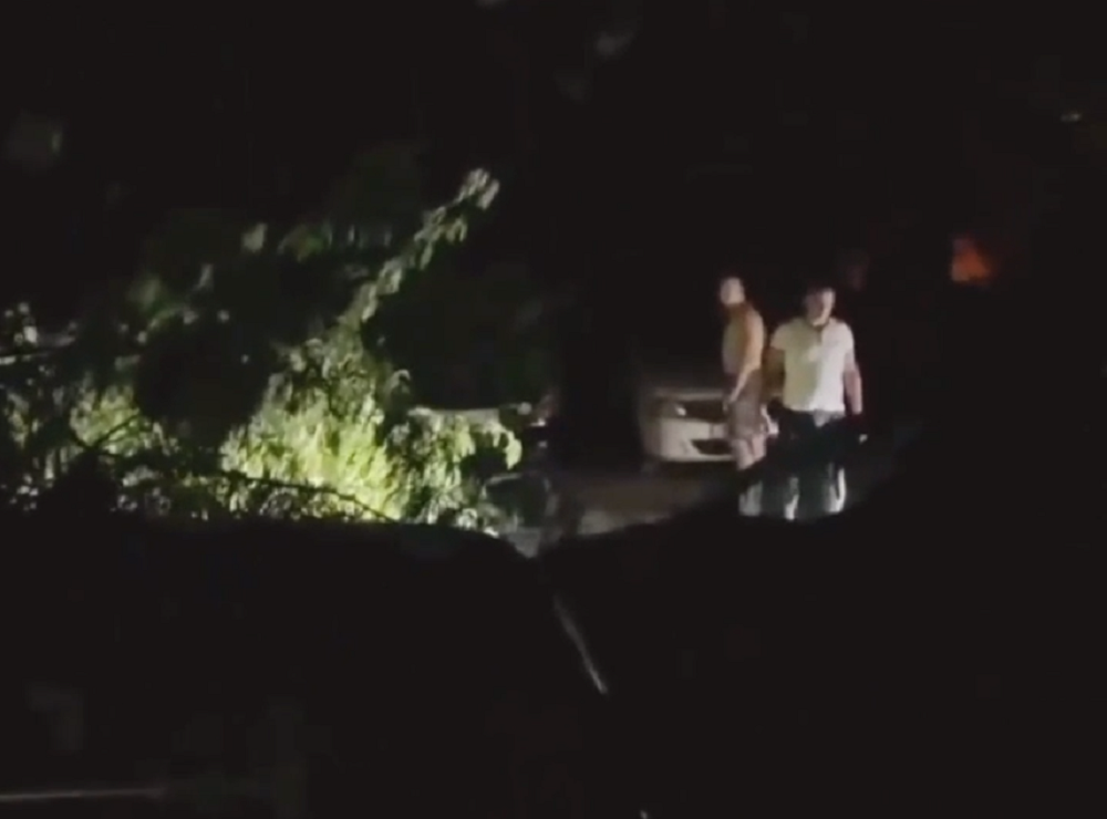 Рухнувшее из-за ветра дерево повредило шесть машин в Ростове