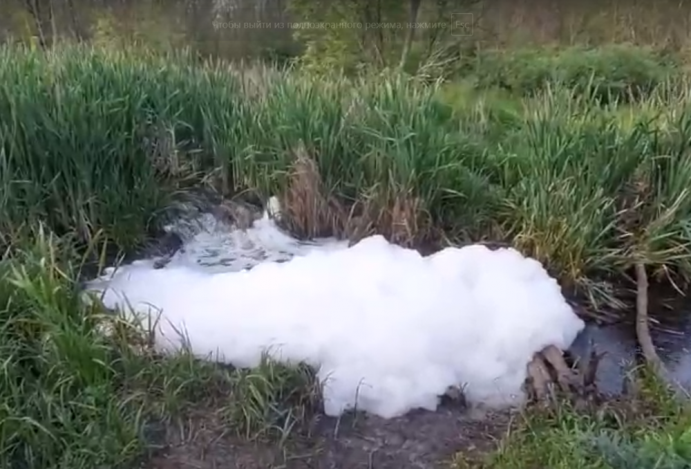 Сброс канализации в Щепкинском лесу обнаружили ростовчане